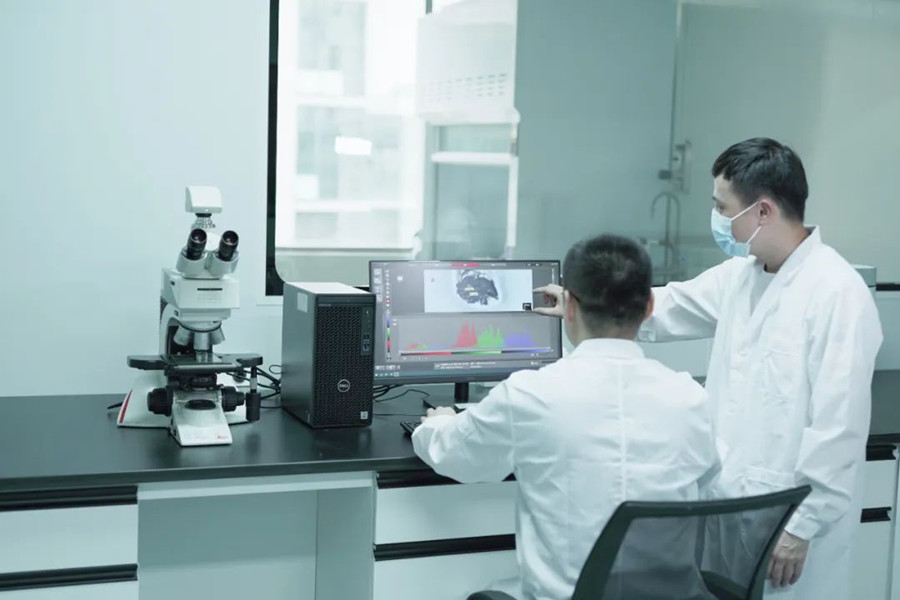 �µ���(�й���)�������޹�˾����