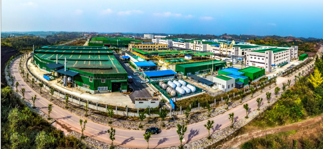 �µ���(�й���)�������޹�˾����